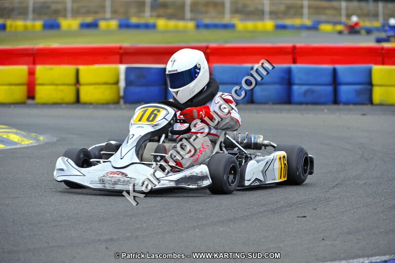 DSC_ (2037).jpg